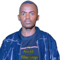 Mwesigye Anold