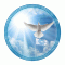 DavidCampus Logo You are the Light of the World