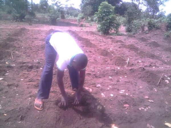 Planting Cassava at Hope Orphan Centre Iganga