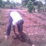 Planting Cassava at Hope Orphan Centre Iganga