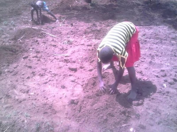 Planting Cassava at Hope Orphan Centre Iganga