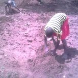 Planting Cassava at Hope Orphan Centre Iganga