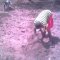 Planting Cassava at Hope Orphan Centre Iganga