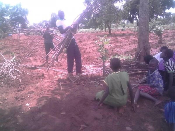 Planting Cassava at Hope Orphan Centre Iganga