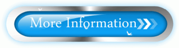 More Information 360