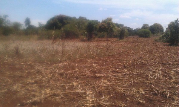Land for New Orphanage 