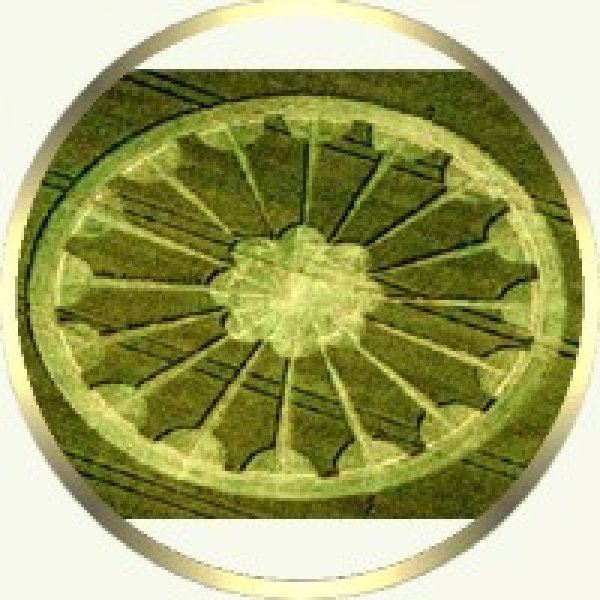 Crop Circle