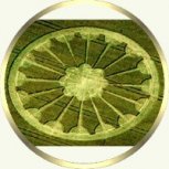 Crop Circle