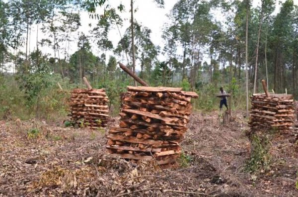 To God be the Glory!!!  Firewood & Food Supplies