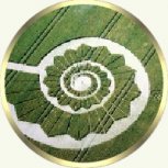 Crop Circle
