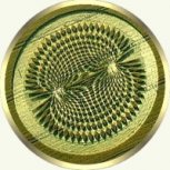 Crop Circle