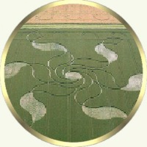Crop Circle