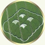 PhotoCropCircles00001