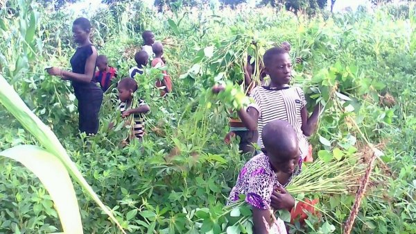 Farming at Hope Orphan's Centre-Iganga