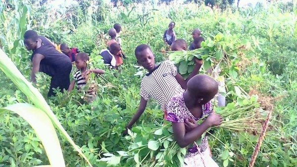 Farming at Hope Orphan's Centre-Iganga