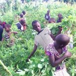 Farming at Hope Orphan's Centre-Iganga