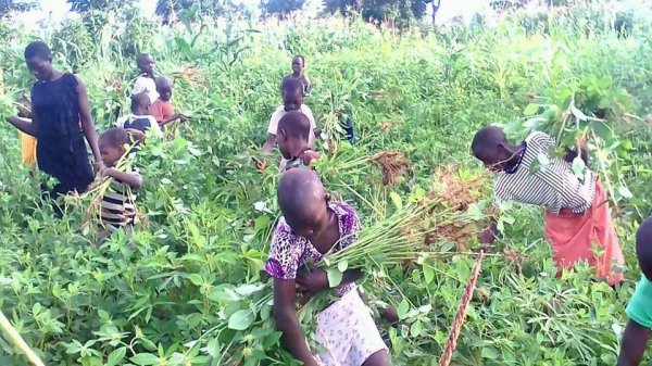 Farming at Hope Orphan's Centre-Iganga