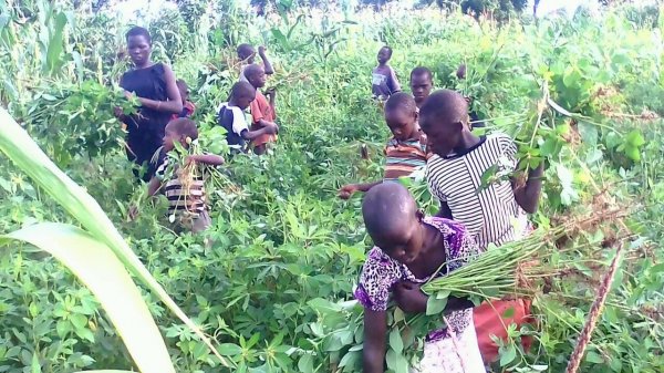 Farming at Hope Orphan's Centre-Iganga