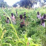 Farming at Hope Orphan's Centre-Iganga