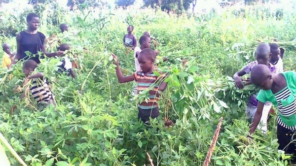 Farming at Hope Orphan's Centre-Iganga