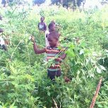 Farming at Hope Orphan's Centre-Iganga