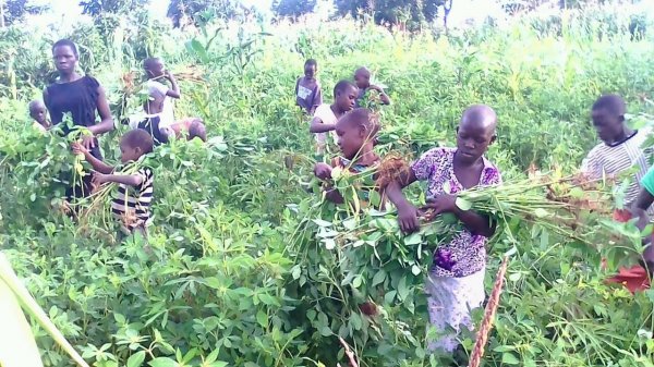 Farming at Hope Orphan's Centre-Iganga