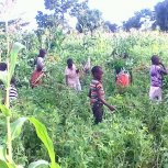 Farming at Hope Orphan's Centre-Iganga