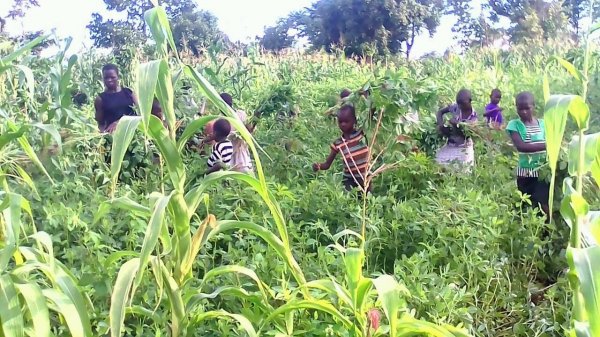 Farming at Hope Orphan's Centre-Iganga