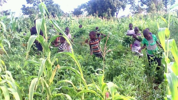 FarmProject11