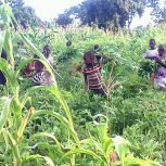 FarmProject11