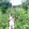 FarmProject13