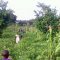 FarmProject14