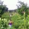 FarmProject15