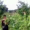 FarmProject16