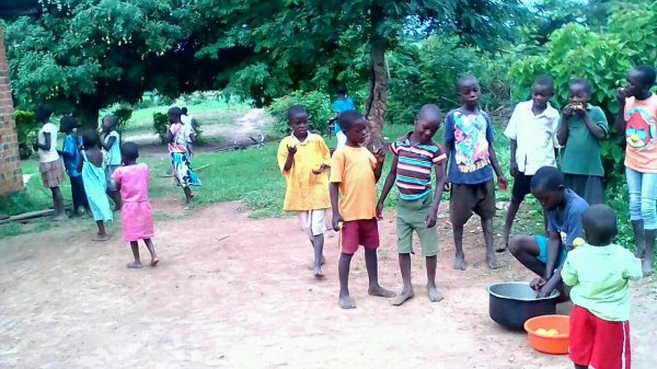Where is the hope of the orphans?