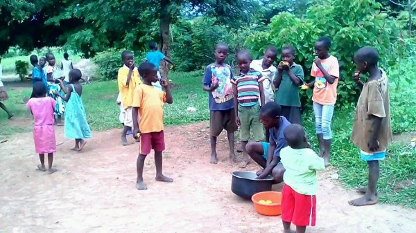 Where is the hope of the orphans?