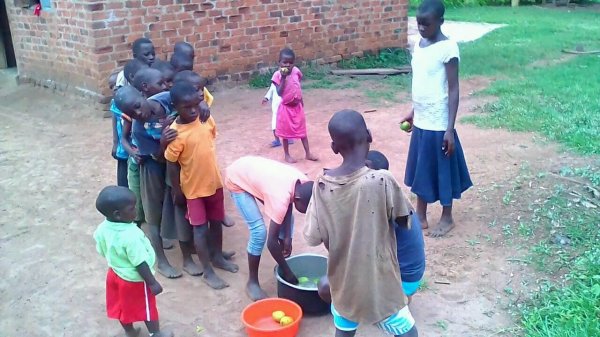 Where is the hope of the orphans?
