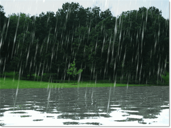 Rain Animation