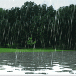 Rain Animation