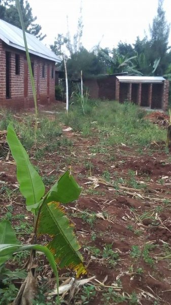 Please Support Our New Orphanage Home
