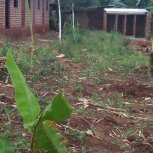 Please Support Our New Orphanage Home
