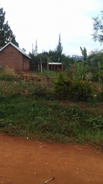 Please Support Our New Orphanage Home