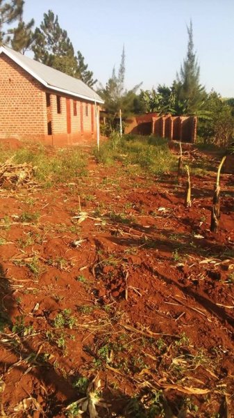 Please Support Our New Orphanage Home