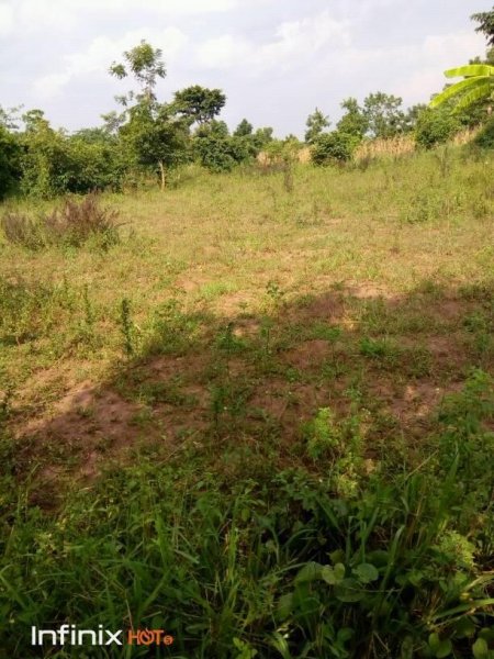 New Lands for Hope Orphan Centre-Iganga