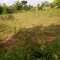 New Lands for Hope Orphan Centre-Iganga