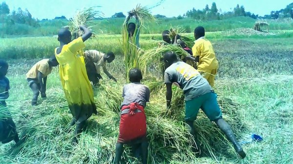 New Lands for Hope Orphan Centre-Iganga