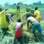 New Lands for Hope Orphan Centre-Iganga