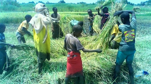 New Lands for Hope Orphan Centre-Iganga