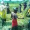 New Lands for Hope Orphan Centre-Iganga