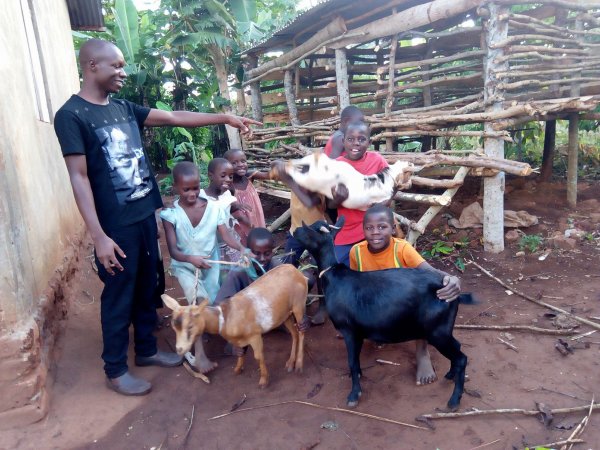 Goats purchased for livelihood!